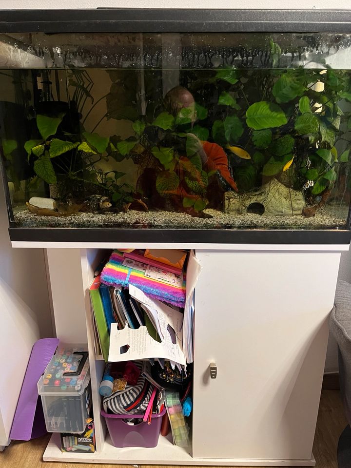 120l Aquarium inkl. Schrank und Fische in Freyung