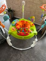 Fisher-Price Jumperoo Baden-Württemberg - Walldorf Vorschau