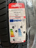 Petlas Snowmaster | Winterreifen 205/55 R17 Nordrhein-Westfalen - Detmold Vorschau