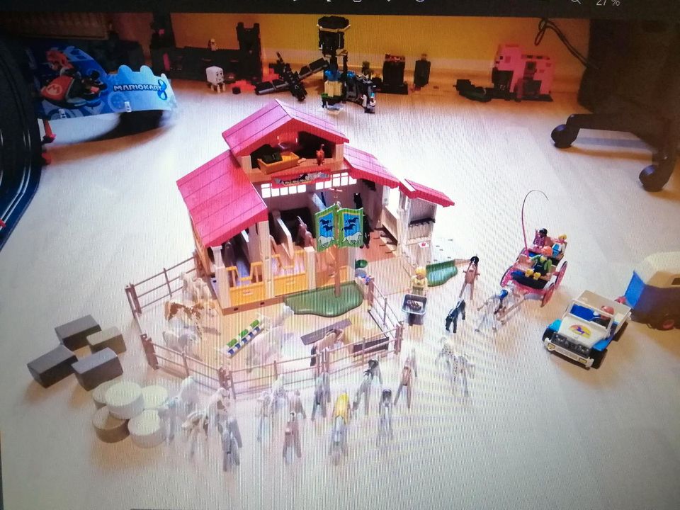 Playmobil Reiterhof / Bauernhof mit vielen Extras, Kutsche etc in Peitz