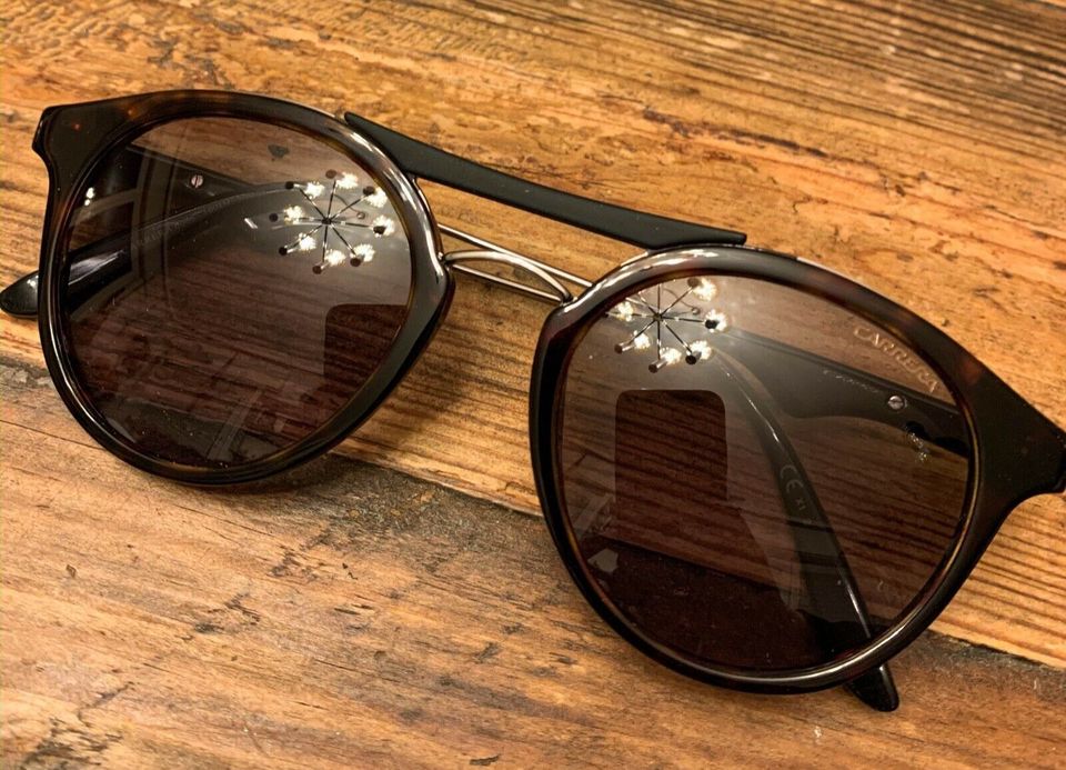 Carrera Sonnenbrille Leo Print Sunglasses Summer in Stuttgart