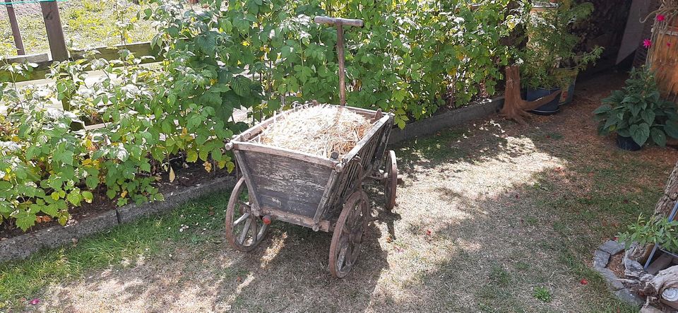 Scheunenfund: Handwagen, vintage,  normal gebrauchsfähig. in Werdau