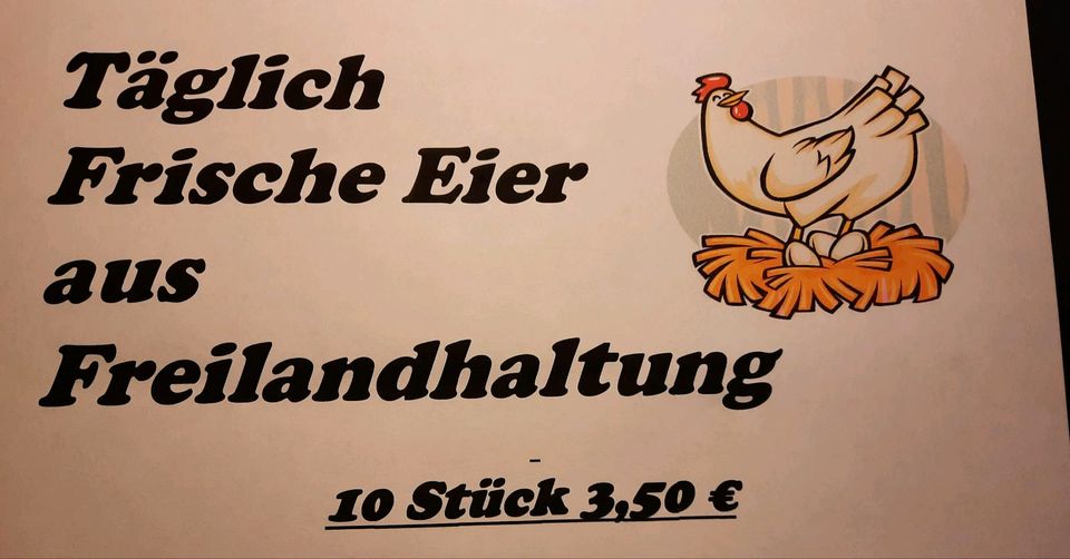 Eier Freilandhaltung in Schorndorf