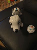 Roboter Hund Baden-Württemberg - Tuttlingen Vorschau