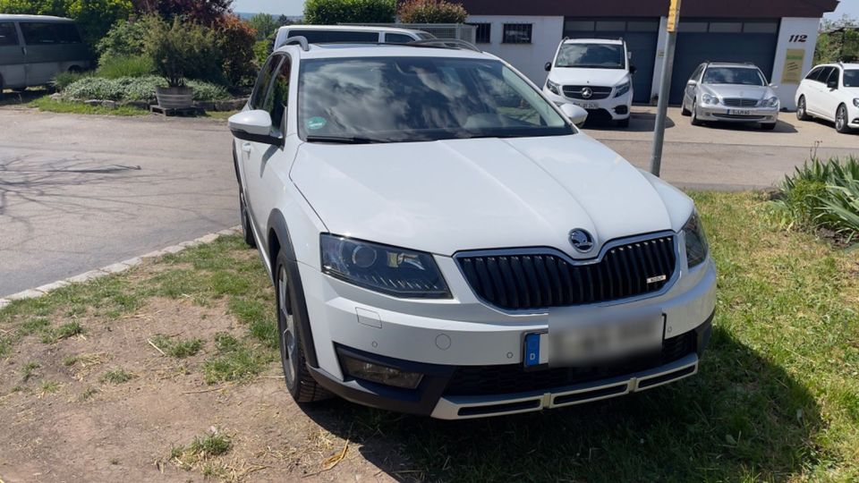 Skoda Octavia 2.0 TDI DSG 4x4 Scout Combi Scout in Stuttgart