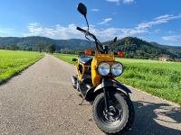 Honda Zoomer | Roller | Hingucker | toller Zustand | gelb Baden-Württemberg - Freiburg im Breisgau Vorschau