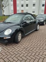 Volkswagen New Beetle 1.4 Cabriolet - Nordrhein-Westfalen - Dinslaken Vorschau
