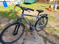 Trekking fahrrad Herren grau Sachsen-Anhalt - Halle Vorschau