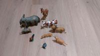 8x Tip Toi Tiere Nordrhein-Westfalen - Remscheid Vorschau