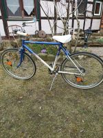 Göricke Kinder Fahrrad Vintage 22 Zoll alt Jungen Sachsen - Hoyerswerda Vorschau