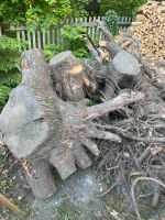 Baumstumpf mit Wurzel zu verschenken Sachsen - Bad Lausick Vorschau