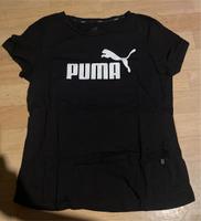 Puma Shirt Niedersachsen - Lingen (Ems) Vorschau
