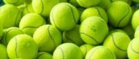 Hunde-Tennis-Bastel-ANGEBOT: 100 Tennisbälle für 30€, Spielzeug Stuttgart - Stuttgart-West Vorschau