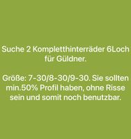 Kompletthinterräder gesucht 6 Loch für Güldner,Gr. 7-30/8-30/9-30 Sachsen-Anhalt - Schönebeck (Elbe) Vorschau