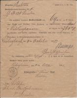 Lüdinghausen - Frerichmann - Urkunde 1882 - Königliches Steueramt Nordrhein-Westfalen - Overath Vorschau