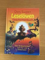 Das super Leselöwen Geschichtenbuch - über 35 Geschichten Niedersachsen - Hildesheim Vorschau