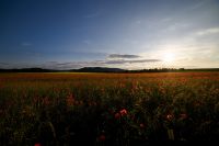 Suche Photografie-Interessierte f. gemeinsame Aktivitäten/Treffen Niedersachsen - Goslar Vorschau