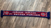 FC Bayern München Fanschal aus den 90ern Hessen - Heidenrod Vorschau