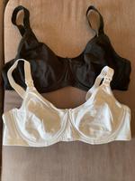 Still-BHs Set 100B Petite Fleur Neu Bayern - Olching Vorschau