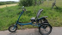 Ein Dreirad zu verkaufen Schleswig-Holstein - Flensburg Vorschau