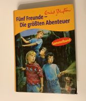 Enid Blyton Fünf Freunde 2 Sammelbände Baden-Württemberg - Dettingen unter Teck Vorschau