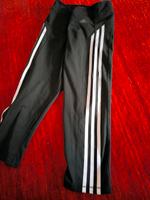 Adidas Sportleggings S 34-36 Hessen - Bruchköbel Vorschau