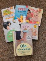 Bücher über Babyförderung Sachsen - Bautzen Vorschau