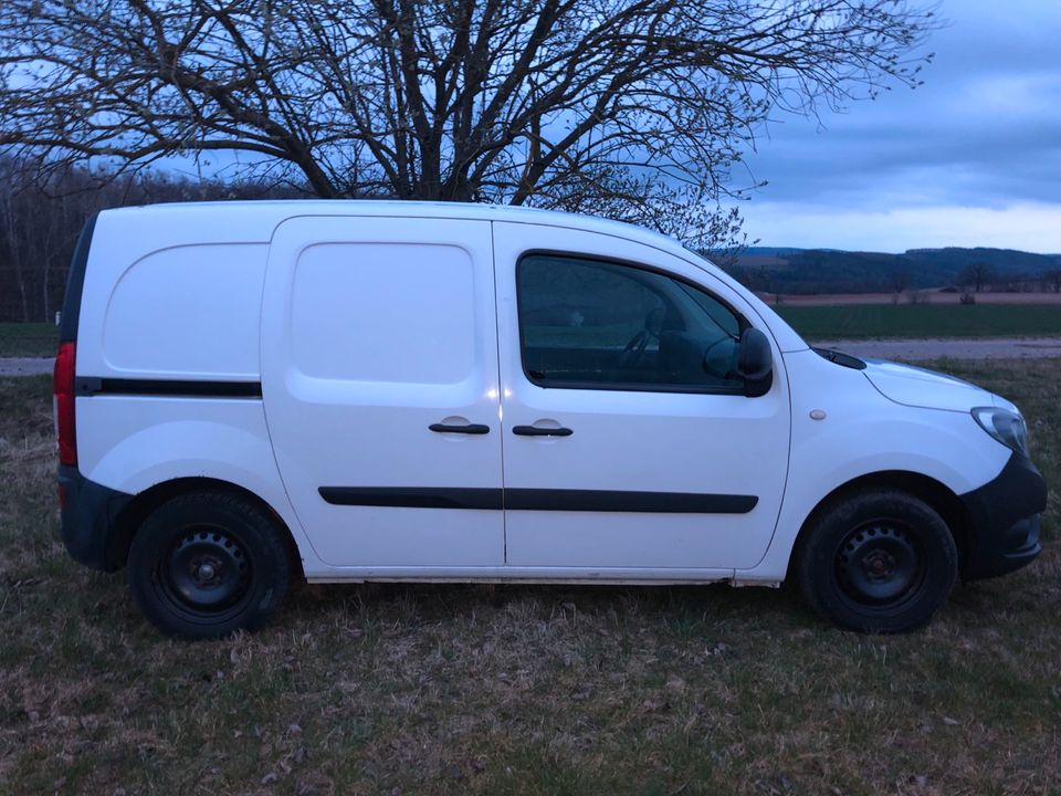 Mercedes Benz citan Hundefänger, Transporter, Van TÜV 25 in Triptis