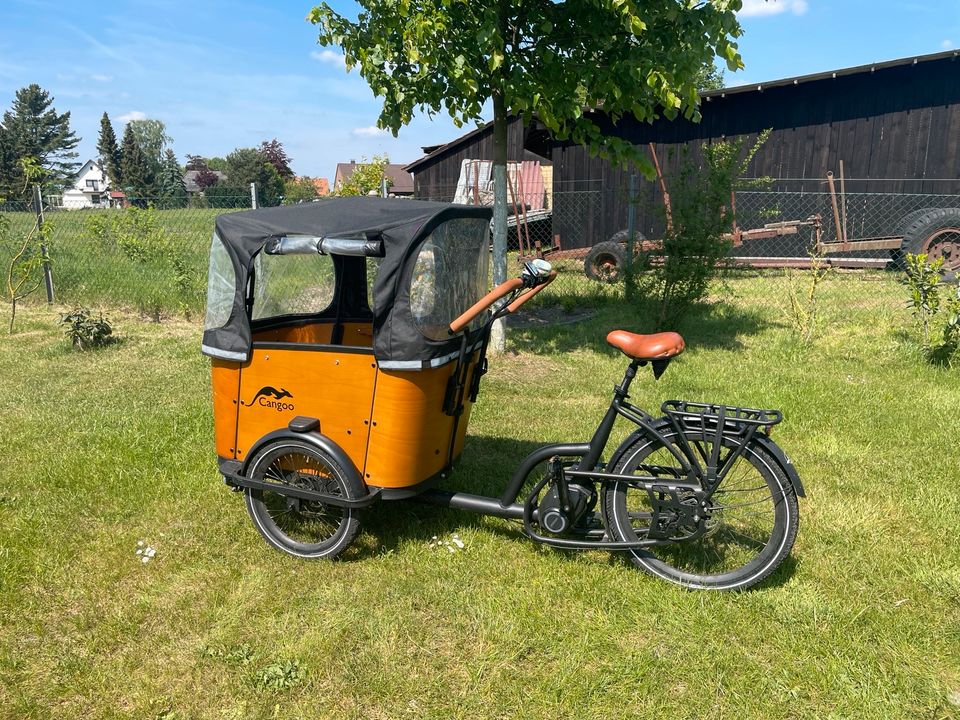 Lastenrad Cangoo Buckle E-Bike in Wietze