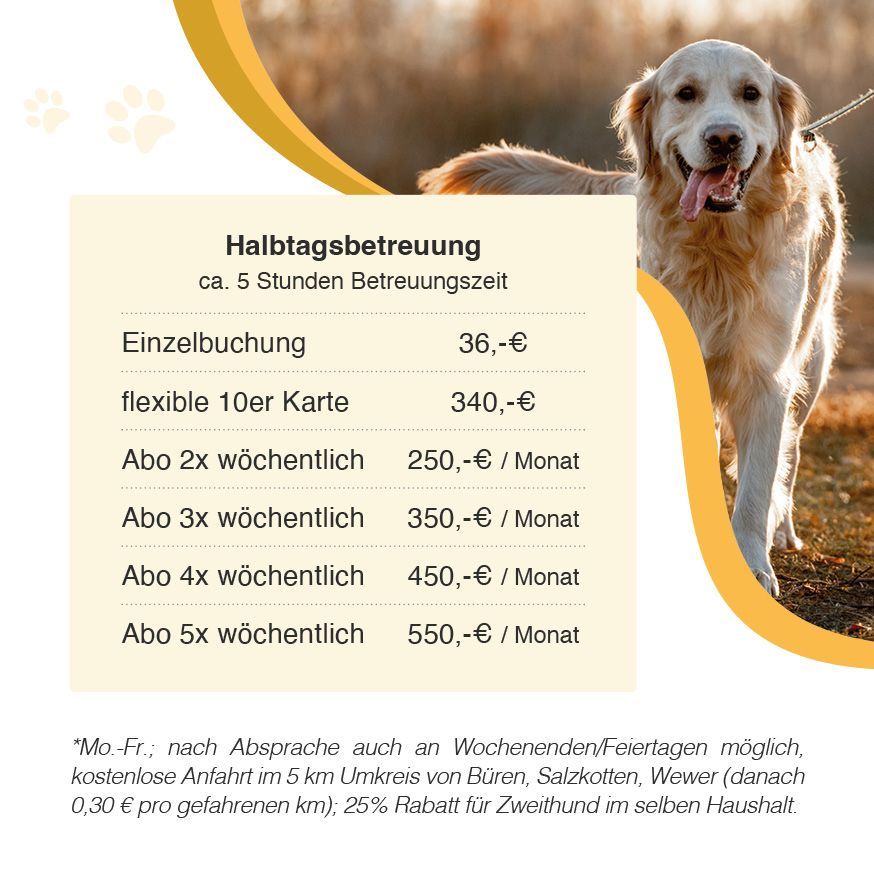 Gassiservice Dogwalking Hundebetreuung Hundesitter in Borchen