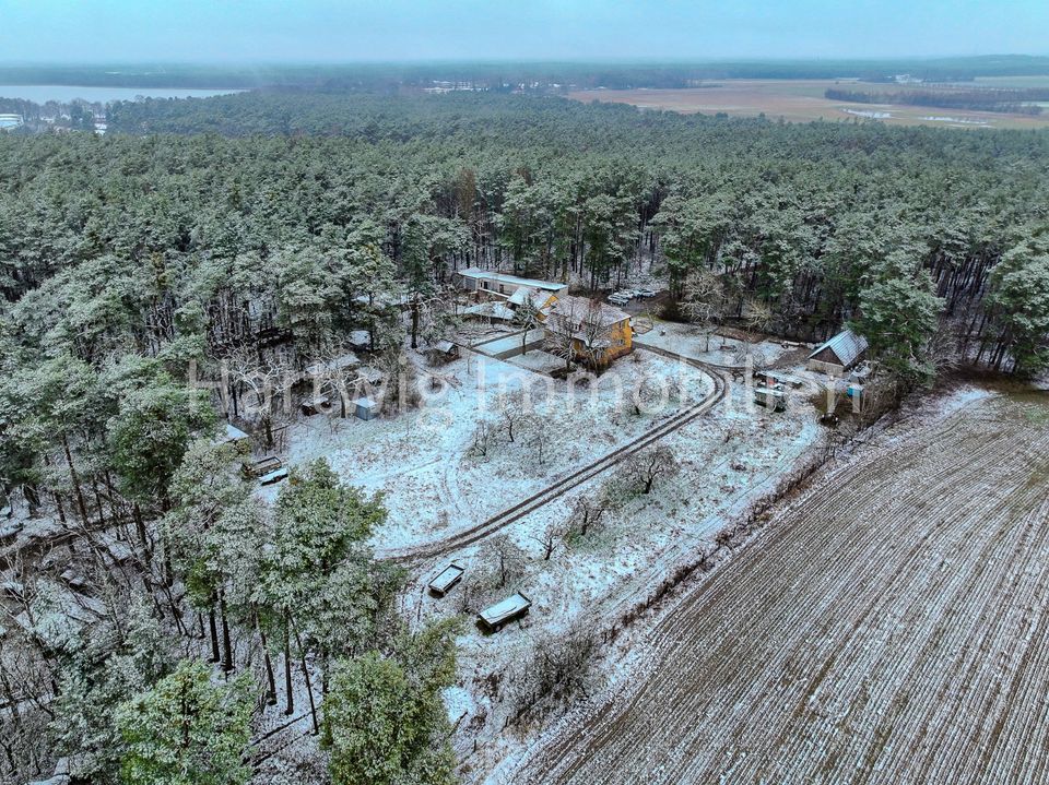 Die Natur ruft –  Alleinlage auf ca. 15.300 m² (bei Berlin) in Bestensee