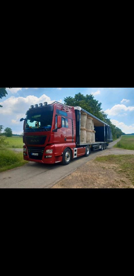Baggerarbeiten Transport Container Erde Schotter LKW Bauschutt in Grünberg