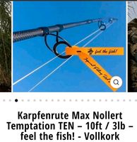 Karpfenrute Imperial Baits Temptation TEN 10ft 3lbs Hessen - Kronberg im Taunus Vorschau