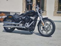 Harley-Davidson Standard FXST (A2 dosselbar) Sachsen - Chemnitz Vorschau