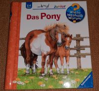 Buch Kinderbuch wieso weshalb warum Das Pony Nr 20 Sachsen - Radebeul Vorschau