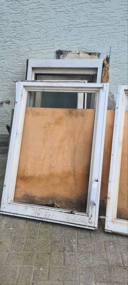 Fenster/Tür/Holz in Ahlen