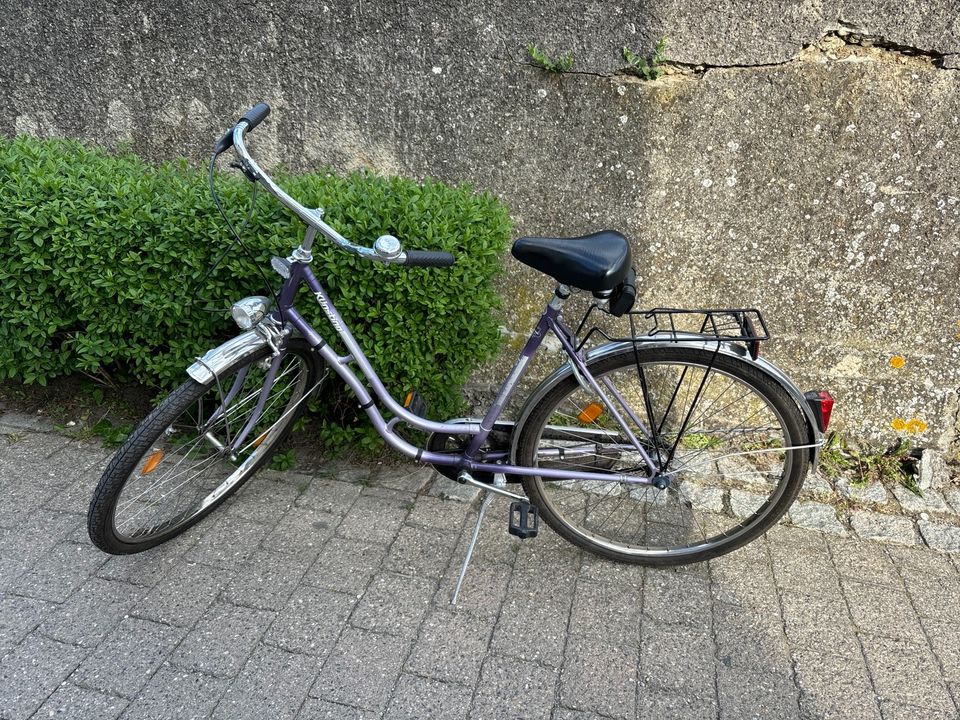 Lila Fahrrad zu verkaufen in Hagnau am Bodensee
