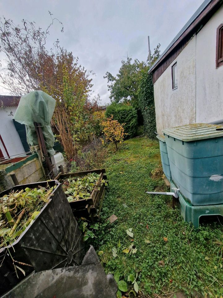 Garten in gute Hände abzugeben in Schwerin