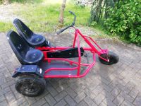 Kettcar Dinocar trike Brandenburg - Küstriner Vorland Vorschau