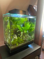 Aquarium 46l Niedersachsen - Seevetal Vorschau