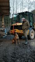 Mobiles Sägewerk Bauholz Imker Anhänger Verleih Baden-Württemberg - Dornhan Vorschau