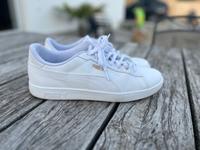 PUMA Unisex Smash 3.0 L Sneaker - Größe 47 - neuwertig Bayern - Vöhringen Vorschau