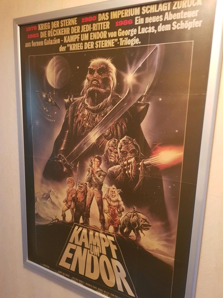 Filmposter star wars in Westoverledingen