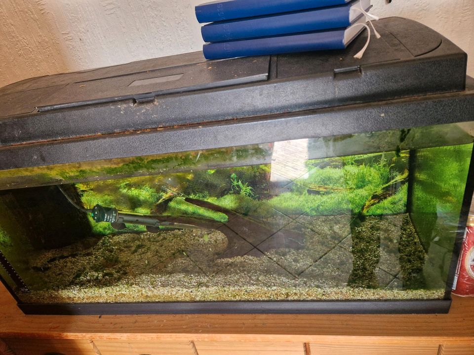 Aquarium 80l in Finnentrop