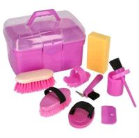 Neu Putzbox pink + 7x Pflegeartikel & Pferdefutterkatalog Kinder Brandenburg - Schwedt (Oder) Vorschau