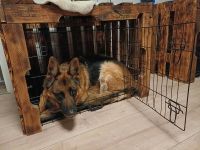 Hundebox - mittelgroß Sachsen-Anhalt - Ingersleben (bei Haldensleben) Vorschau