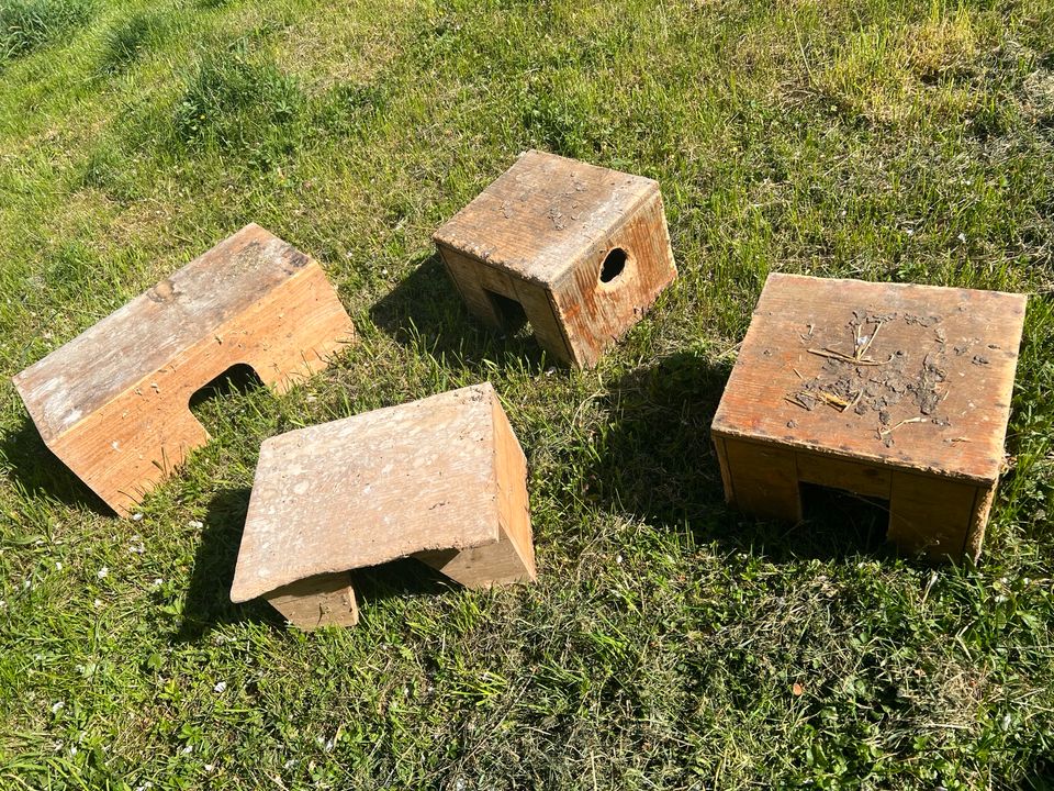 4 x Kaninchen hase, Meerschweinchen, Häuschen, Holz in Eberdingen