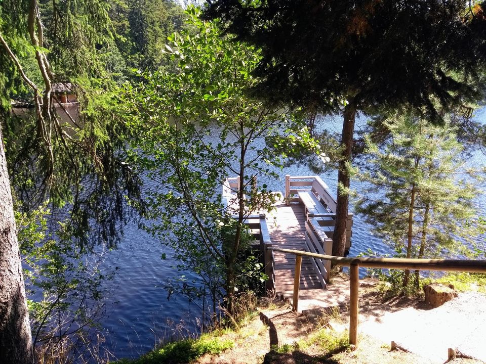 Ferienwohnung im Schwarzwald mit Schwimmbad und Sauna in Lenzkirch