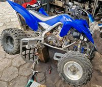 Suche Yamaha Raptor YFM 90 250 350 660 700 yfz 450 Nordrhein-Westfalen - Petershagen Vorschau