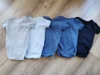 Set - 5 kurzarm Bodies H&M 62 Hessen - Allendorf Vorschau